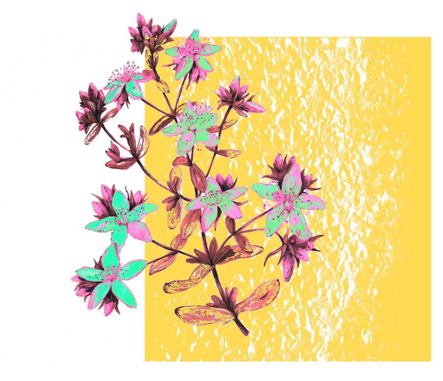 aroma logo