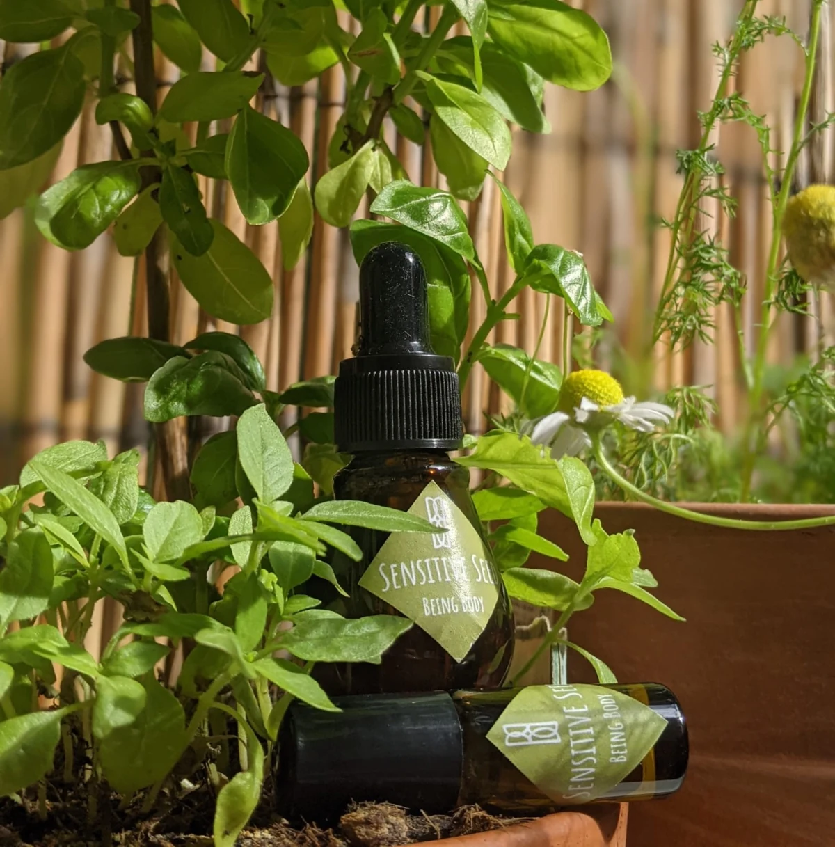 Sensitive Seed oil, image 1 of 2