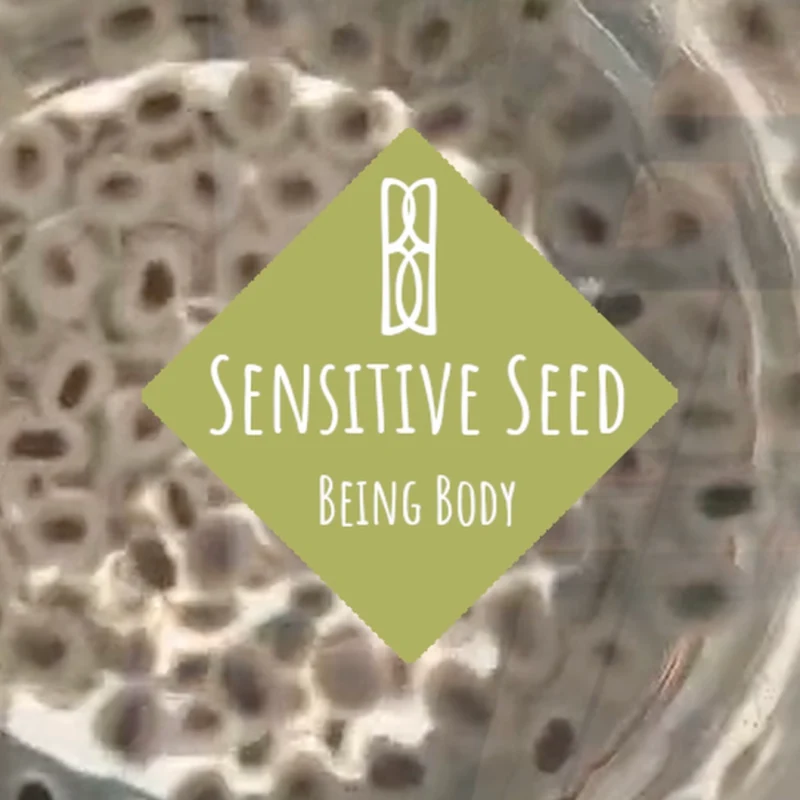 Sensitive Seed